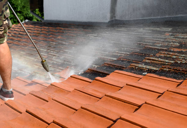 Best Power Washing Near Me  in Scissors, TX