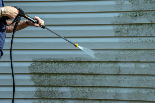 Best Roof Pressure Washing  in Scissors, TX